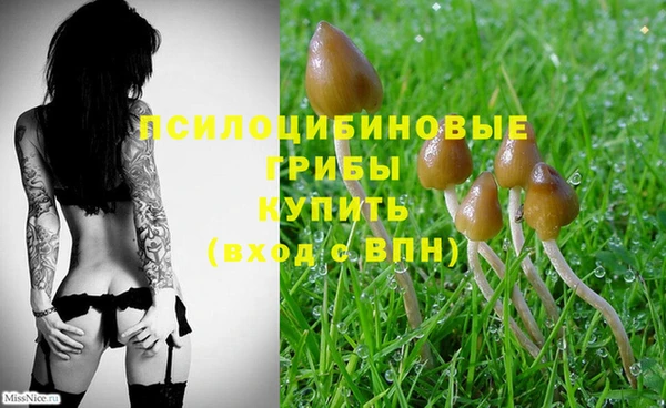метамфетамин Михайловка